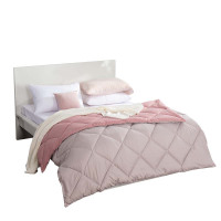 金丝莉(kintheri)羽绒太极被