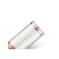 斌翔 E27光头强LED球泡/12W白光