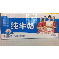 申花(SHENHUA) 纯牛奶 2箱