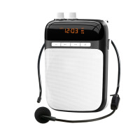 企购优品S-318 便携式数码扩音器 小蜜蜂大功率教学专用教师导游扩音器 插卡播放器 唱戏机 睿智黑