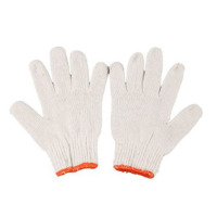全日安 棉线手套 12付装