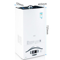 神州壁挂炉L1PB40-F20