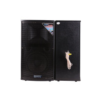 特美声113T音响 有源大功率有源音响特美声113T音响 有源大功率有源音响