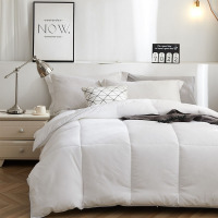 鑫未来 五星提花360护肤被