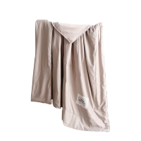 金丝莉(kintheri)西子·匠心蚕丝被JB-1087