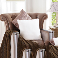 水星家纺3375靠垫芯50*50沙发靠垫芯65*65正方形抱枕靠垫芯居家 实物拍摄 65*65cm(个)