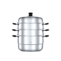 AOSMA DT 电蒸锅 94571