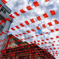 标拓 DY 中国国旗串旗小国旗串旗