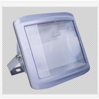 乐信防眩泛光灯 LXFG6014-100W MH气体放电灯