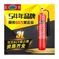 淮海 FH-MT 3 碳钢二氧化碳灭火器 (计价单位:只)