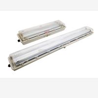乐信LED防爆防腐荧光灯 LXFB-9020-2*9W