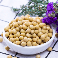 胡成(HUCHENG) 农家有机 黄豆 1000g