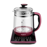 龙的(longde) 养生壶LD-YS1812.