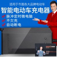 iDiskk 电动车充电器48V32A