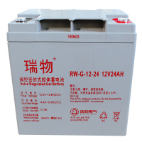 瑞物 蓄电池12V24AH(单位:只)