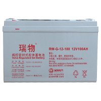瑞物 蓄电池12V100AH (单位:只)