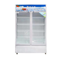 (1)597升立式 双门开 展示柜 冷藏柜