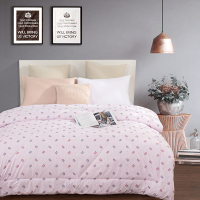 金丝莉(kintheri)JB-1115 玻尿酸美颜被 200*230 单张装