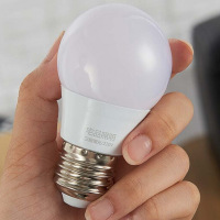 (ZD) LED 暖光灯泡 5w e27 单位:个