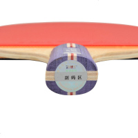 乒乓球拍 短柄双面反胶G02