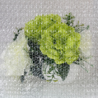 健安 气垫膜气泡膜 打包膜防震保护膜 膜 气泡垫泡泡纸气泡袋 加长款宽80cm*80M 长80米 7061 单卷装