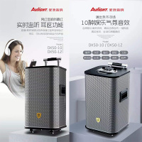 爱浪(Avlight)DX50-10 户外广场音响内置声卡网红直播无线话筒K歌电瓶拉杆音箱360度发声音响 10吋