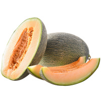 海南哈密瓜 1个装约1.5-2kg 西州蜜瓜25号网纹瓜 新鲜水果应季 非羊角蜜绿宝香瓜