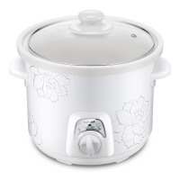 康佳多功能电炖锅天然养生煲KGDG-610A