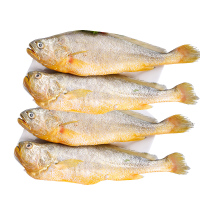 鲜盟三去黄花鱼1600g 4条 宁德大黄鱼红烧清蒸海鱼海鲜水产