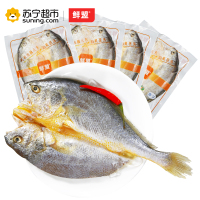 鲜盟香煎黄花鱼250g*4条 新鲜野生冷冻免杀洗鲜活宁德黄鱼鲞大黄鱼