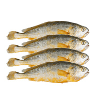 鲜盟三去黄花鱼1400g 4条 宁德大黄鱼红烧清蒸海鱼海鲜水产