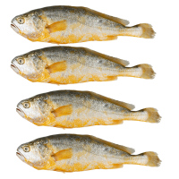 鲜盟三去黄花鱼1500g 4条宁德大黄鱼红烧清蒸海鱼海鲜水产