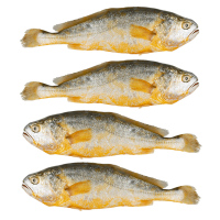 鲜盟三去黄花鱼1700g 4条宁德大黄鱼红烧清蒸海鱼海鲜水产