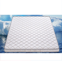 正鹏天然椰棕床垫棕垫ZPJXSB005 2000*900*50 DT 5687