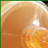 (ZD)齐心 黄粘油 单位:瓶