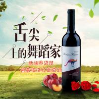 新涵养袋鼠(Xinhaya Kangaroo)新涵养袋鼠窖藏梅乐红葡萄酒750ml 2支装 两支价