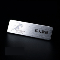 拉丝银J-胸牌 20mm*70mm定做别针式胸牌（3个/组）（组）定制员工姓名牌工号牌工作牌 拉丝银胸牌