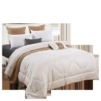 博洋(BEYOND) 赫斯媞暖芯被 被子 200*230CM