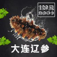 即食海参 大连辽参 季度卡 120只
