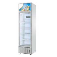 （HX） 冰吧 饮料柜 单位：台