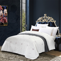 迪士尼(DISNEY) 经典恒温羊毛被 DSN20-BX0001