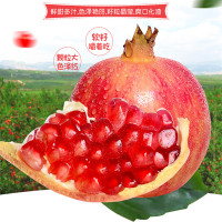 [江苏扶贫][财政集采]沭阳苏合红石榴