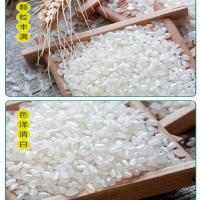 福临门 苏北米 苏软香 大米 5kg