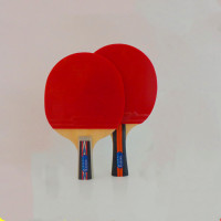 得丰 双面直拍乒乓球拍 JH