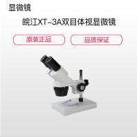 GW XT-3A双目体视显微镜