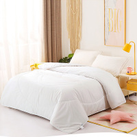 迪士尼 新西兰羊毛被芯 春夏秋冬保暖加厚羊绒冬被单人学生被子 白色 200*230cm DBX02