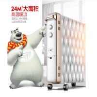 热浪先锋取暖器DS1555/CY55MM-15家用14片电暖器电热油汀加热器）