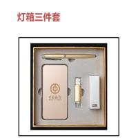 礼信 灯箱三件套 I6灯箱+双头U盘+签字笔 发光LOGO 外标6000毫安 8G双头U盘 单个价