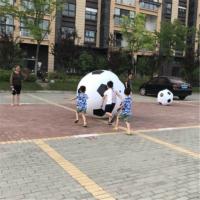 增智(Z) YC 玩具球 运幼儿园足球 儿童充气户外玩具足球 2米足球