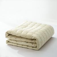 企购优品 定制棉被被芯被子春秋冬被褥棉胎棉絮180cm*200cm 1.8米